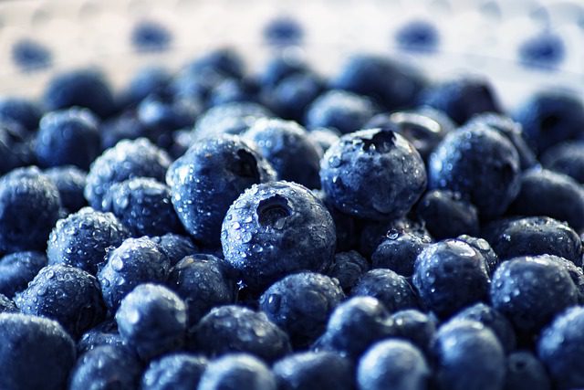 Blueberries: Nature's Memory Enhancers Blueberries: Nature's Memory Enhancers